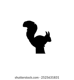 squirrel silhouette icon vector illustration