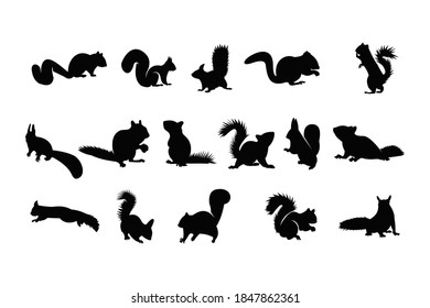 Squirrel Silhouette Icon Vector Set For Logo