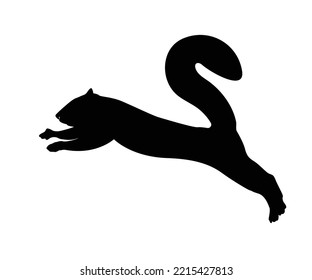 Squirrel with silhouette icon Squirrel is a wild animal with fluffy tail. In cartoon vector symbol illustration style.