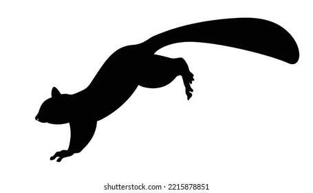 Squirrel with silhouette icon Squirrel is a wild animal with fluffy tail. In cartoon vector symbol illustration style.