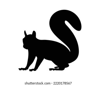 Squirrel with silhouette icon Squirrel is a wild animal with fluffy tail. In cartoon vector symbol illustration style.