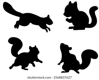 Squirrel Silhouette Isolated On White Background