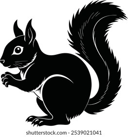 Squirrel Silhouette on a white background
