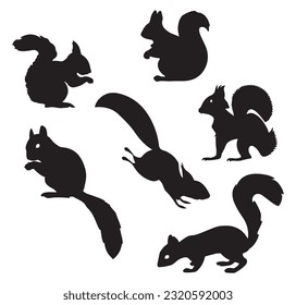 Squirrel silhouette. Set. Vector illustration isolated on white background