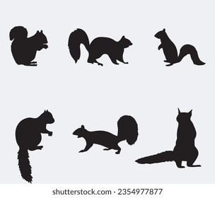 Squirrel silhouette. Set. Vector illustration isolated
