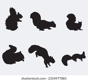 Squirrel silhouette. Set. Vector illustration isolated