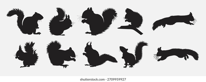 Conjunto de silueta de ardilla Ilustración vectorial