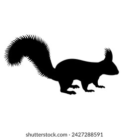 Squirrel silhouette side view. Vector illustration in a realistic style isolated on a white background