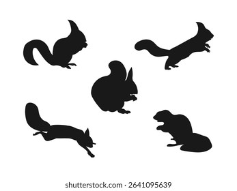  Squirrel Silhouette. Silhouettes of Different Squirrel Poses. Squirrel Silhouette Vector Illustration White Background.