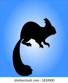 Squirrel silhouette (vector illustration)