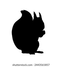 Silueta de ardilla - ilustración vectorial