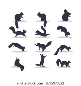 Squirrel silhouette vector illustration design