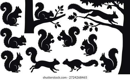 Siluetas de ardilla en poses dinámicas, trepar árboles, sostener bellotas, Vector de vida silvestre forestal, Formas de animales negros, ilustración de la naturaleza