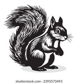 Squirrel silhouettes and icons. black flat color simple elegant Squirrel animal vector and illustration.