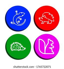 squirrel simple icons set. Contains such icons as Lizard, Hedgehog, Squirrel, can be used for web, mobile and logo