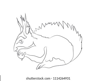 squirrel sits, lines, vector, white background