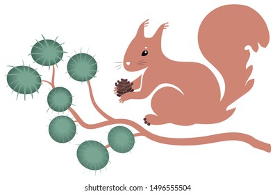 A squirrel sits on a pine branch and holds a cone