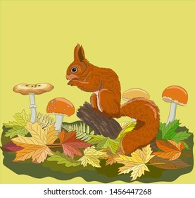 A squirrel sits on a stump and eats a nut, around fallen autumn leaves and mushrooms