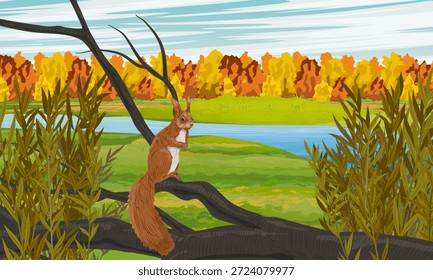 Una ardilla se sienta en una rama de árbol en un prado con un río y árboles brillantes del otoño. Paisaje realista del otoño del Vector.