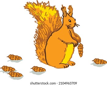 squirrel sitting and collecting pine cones illustration on white background