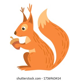 Squirrel Is Sitting And Holding A Acorn. White Background. Vector Illustration.