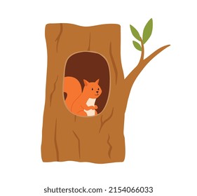 Squirrel is sitting in a hollow tree, vector flat illustration on a white background. A squirrel's house in a tree trunk, a burrow. Squirrel in the hollow