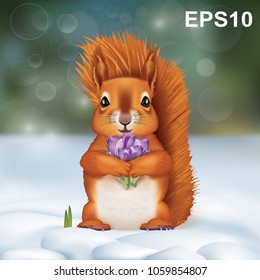 Squirrel in the snow with a bouquet of crocuses. Vector illustration