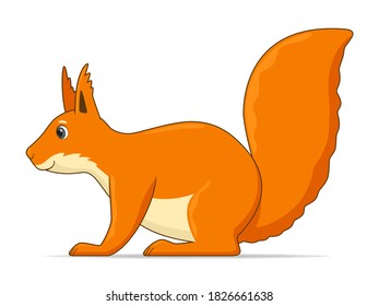 Squirrel standing on a white background. Cartoon style vector illustration