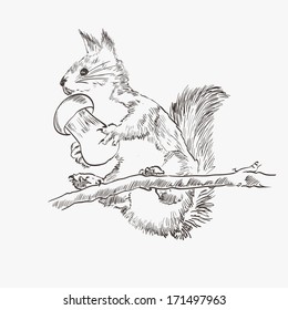 squirrel and stocks for the winter. vector sketch