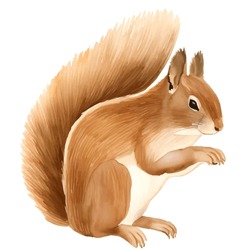 Squirrel With Style Hand Drawn Digital Painting Illustration