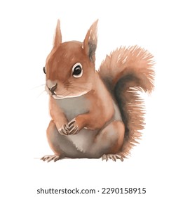 squirrel with style hand drawn digital painting illustration