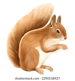 squirrel with style hand drawn digital painting illustration