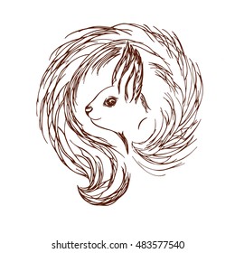 squirrel, squirrel tail, snout squirrel