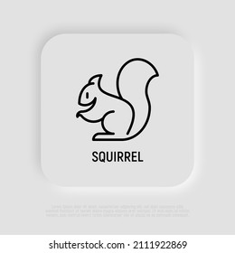 Squirrel thin line icon. Modern vector illustration.