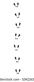 Squirrel tracks. Typical footprints when hopping - isolated black icon vector illustration on white background.
