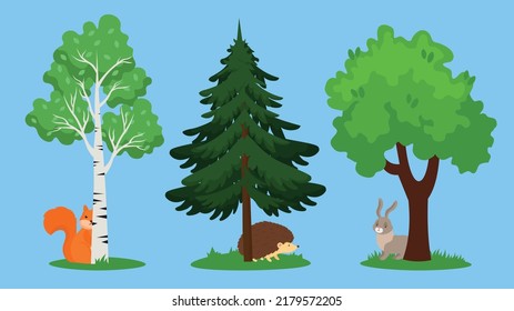 A squirrel under a birch, a hedgehog under a spruce, a hare under an oak