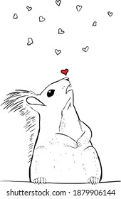 ardilla, valentinas, gráficos vectoriales, ilustración en fondo blanco