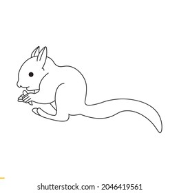 Squirrel Vector Art Graphics Template For Business And Company