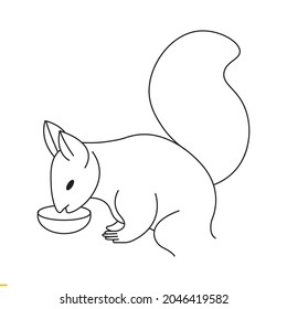 Squirrel Vector Art Graphics Template For Business And Company