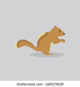 squirrel vector cartoon illustration. Cute friendly squirrel, isolated on grey. Pets, animals, squirrel theme design element in contemporary simple flat style