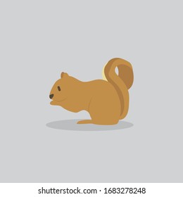 squirrel vector cartoon illustration. Cute friendly squirrel, isolated on grey. Pets, animals, squirrel theme design element in contemporary simple flat style