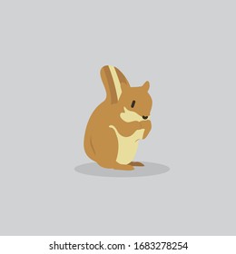 squirrel vector cartoon illustration. Cute friendly squirrel, isolated on grey. Pets, animals, squirrel theme design element in contemporary simple flat style