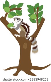 Squirrel vector design with guava tree vector