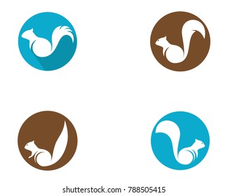 Squirrel vector icon