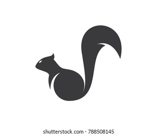 Squirrel vector icon