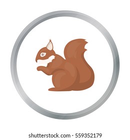 Squirrel vector icon in cartoon style for web