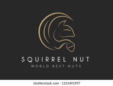 Squirrel vector icon isolated onblack background, squirrel logo concept. Squirrel with hazelnut Logo design. Nut logotype design.