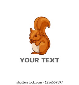 squirrel vector illustration