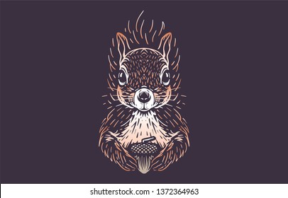 Squirrel Vector Illustration