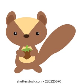 Squirrel vector illustration